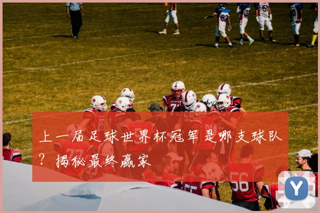 上一届足球世界杯冠军是哪支球队？揭秘最终赢家