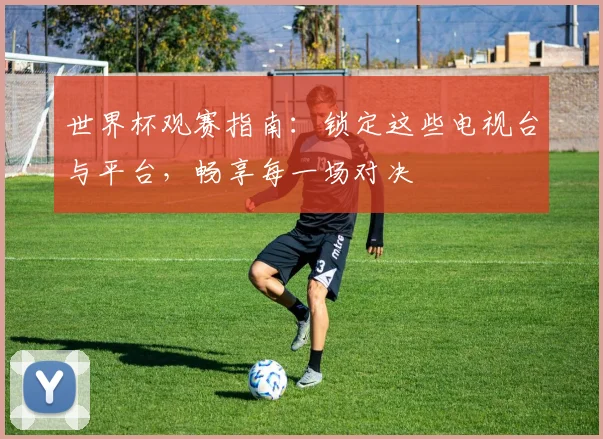 世界杯观赛指南：锁定这些电视台与平台，畅享每一场对决