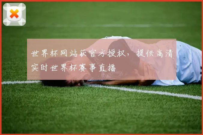 世界杯网站获官方授权，提供高清实时世界杯赛事直播