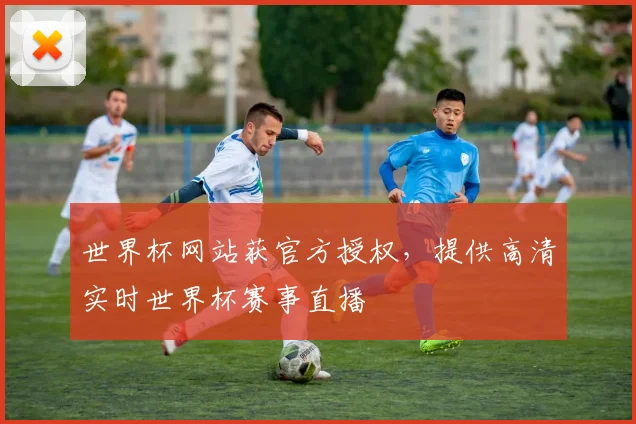 世界杯网站获官方授权，提供高清实时世界杯赛事直播