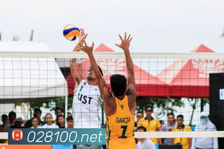 足球世界杯官网中文版平台生态图